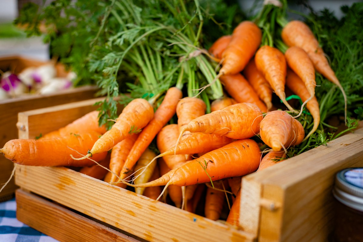 Frische Karotten - reich an Beta-Carotin und Vitamin A